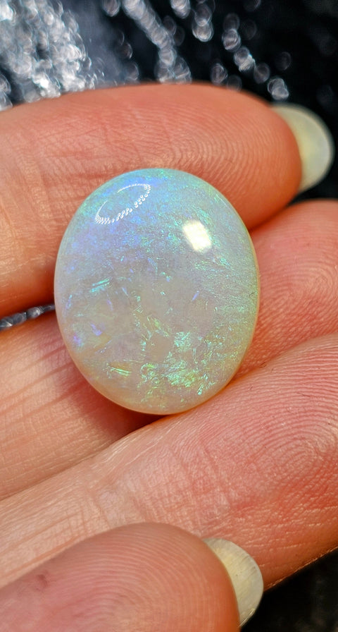 Gorgeous Green High Cabochon 13.20ct Solid Light Opal Gemstone 1568 Global Opals