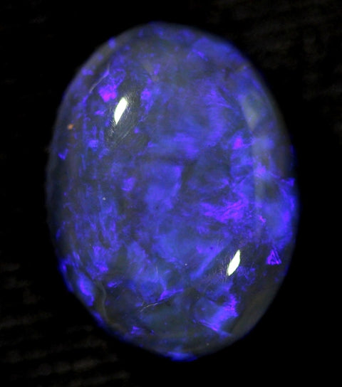 Nobbie Black Opal